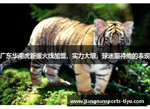 广东华南虎新援火线加盟，实力大增，球迷期待他的表现